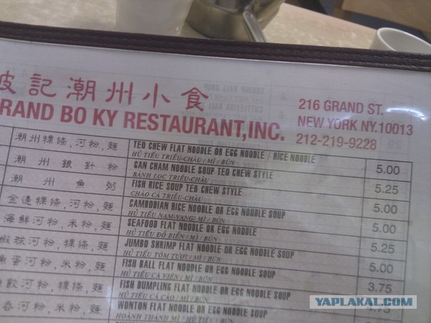 Моя первая поездка в Нью-Йорк и Маями