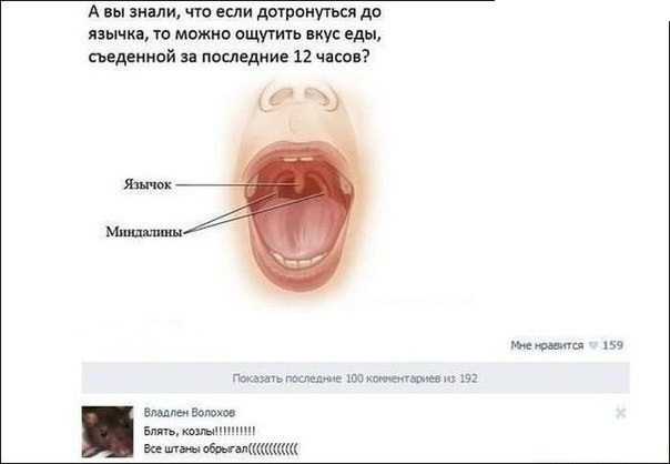 Смешные комментарии из социальных сетей 15.05.23