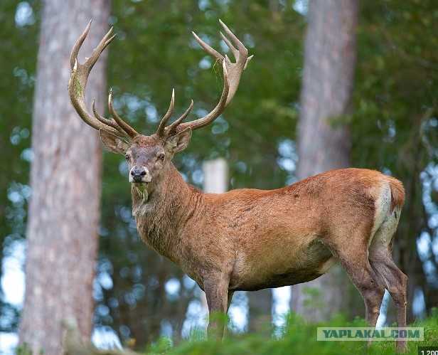 Спутниковые фотографии последствий затопления населенных пунктов в Херсонской области