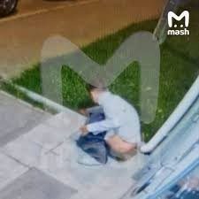 Дно пола панина