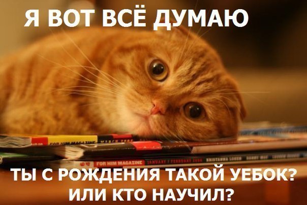 Съезд партии Вагенкнехт в Германии начался с благодарности Красной армии