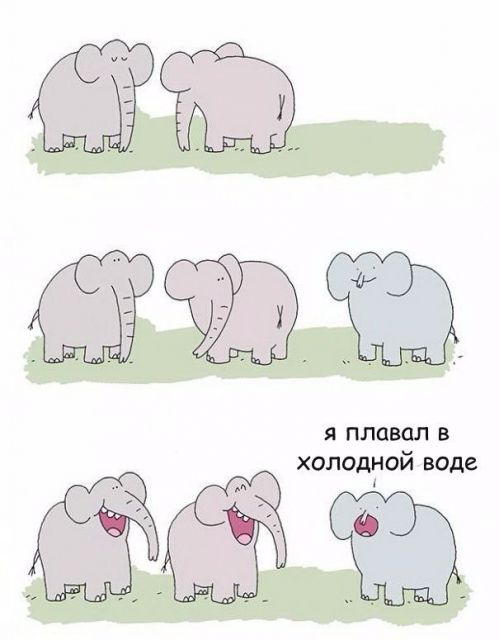 Картинки и буквы 13.06.2024