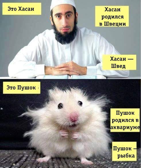 Русским нельзя общины? А дети мигрантов уже русские?