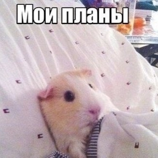 Давайте опубликуем