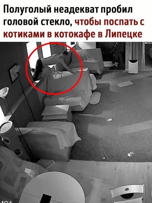 Так себе картинки 20.11.24