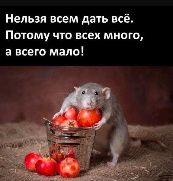 Так себе картинки 12.03.25