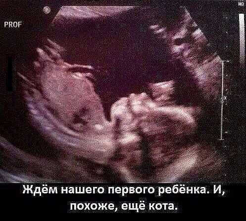 Так себе картинки 28.03.25