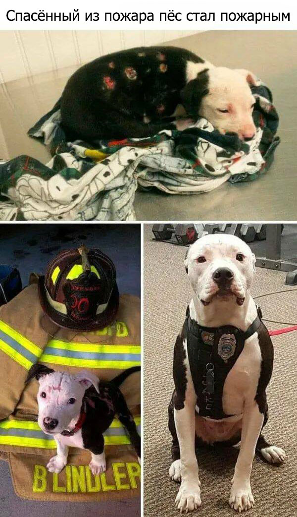 Вам всё равно никто не поверит: 30 фото удивительных случаев от пользователей Сети