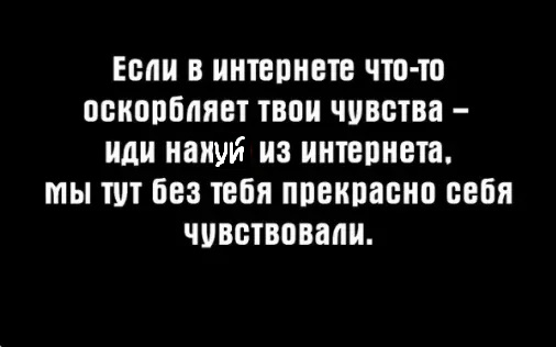 Весёлый полтишок 24.04.25