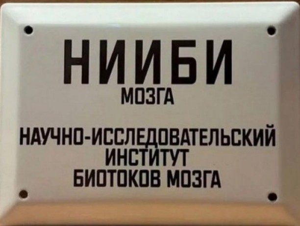 Думаю что Бузова легко нашла бы общий язык с Кличко