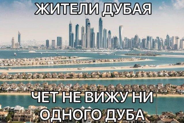 Падонги, кину чуть картинок. 10 штук