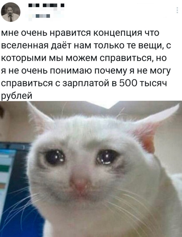 Весёлый полтишок 14.05.25.
