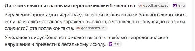 Шёл на работу через лесополосу, нашёл ежа.