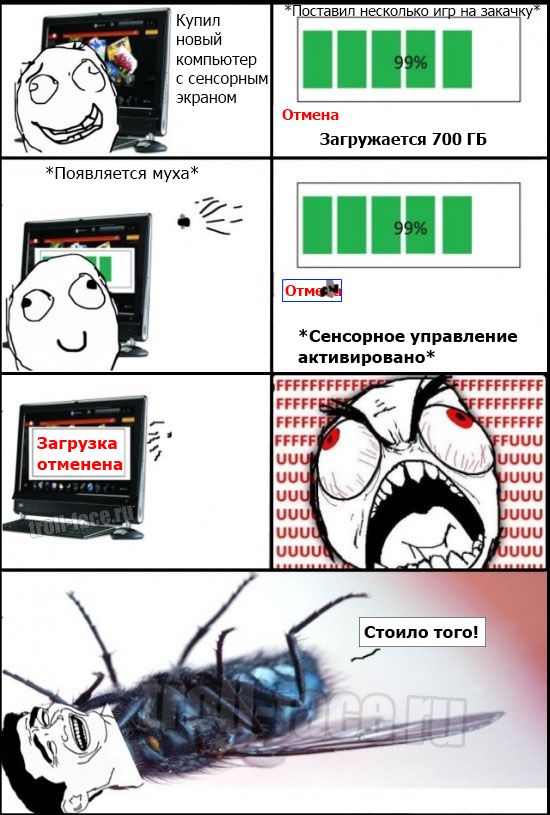 Сегодня на работе, ко мне прилетала муха.