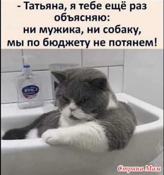 Прикольные и просто красивые картинки 18.11.2025