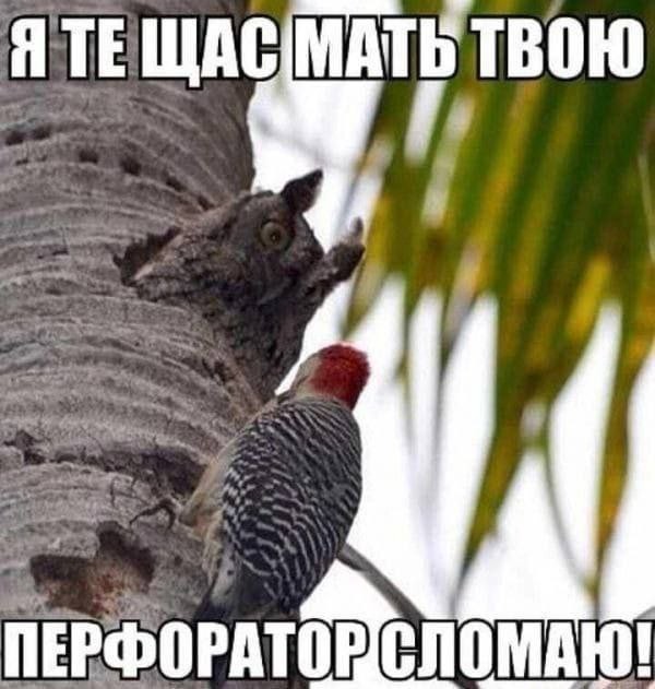 Картинки для деградации 111 (разной степени свежести)
