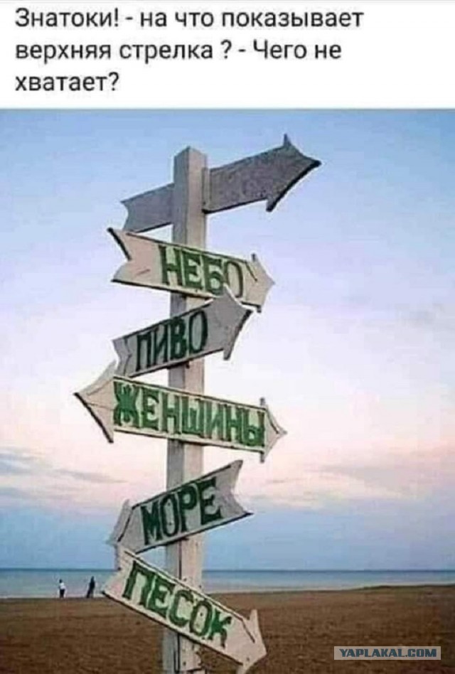 Так себе картинки 06.03.26