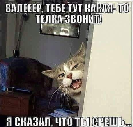 Картинки для деградации 161 (разной степени свежести)