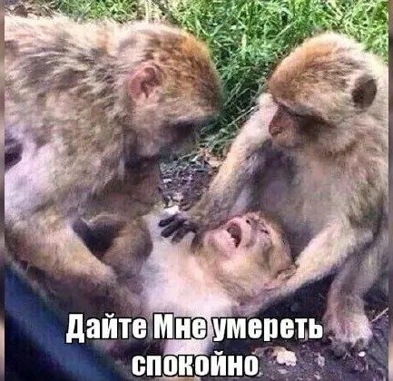 Какой вам размерчик?