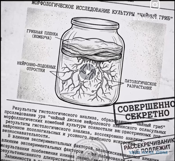 Тайна покрытая мраком