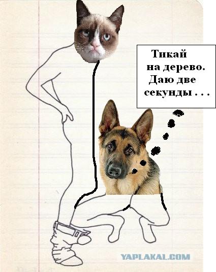 Сказали, дорисуй !