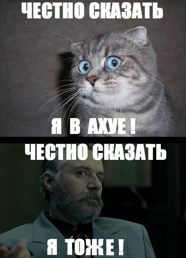 Неадекватный байкер