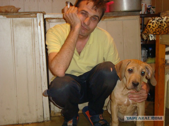 Как мы собаку внезапно завели