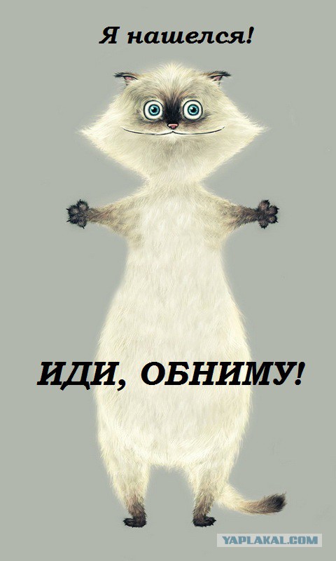 Смешные комментарии из социальных сетей.