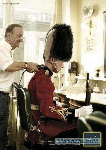 Три новых удлиненных черепа обнаружили в Антарктид