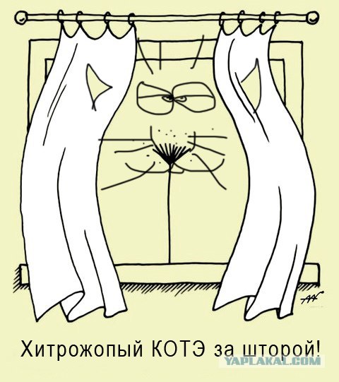 Натюрморт