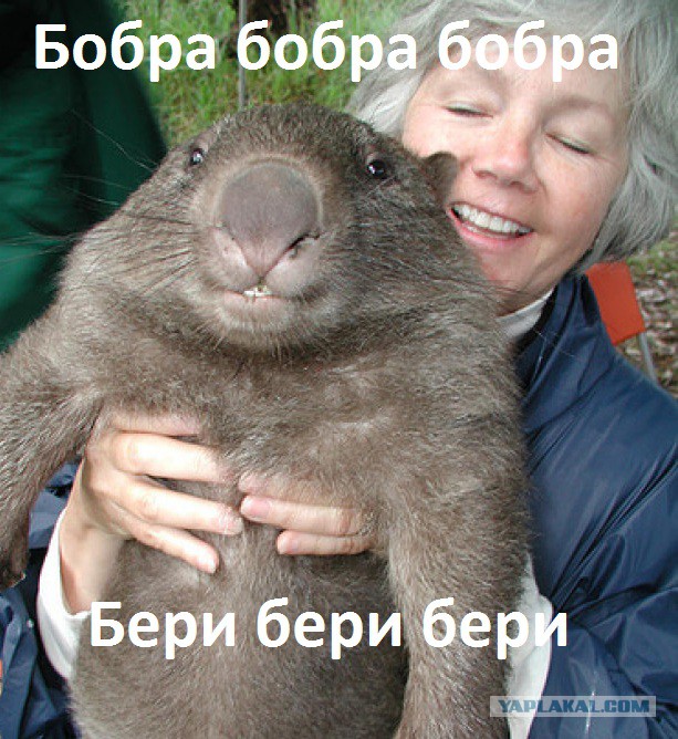 Добряки, плюсующие всех подряд