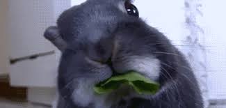 Плюсомет со шпалометом