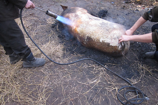 Один день в деревне на забое