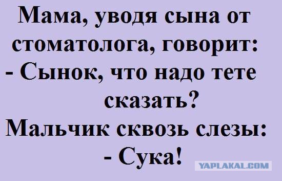 Картинки и юмор