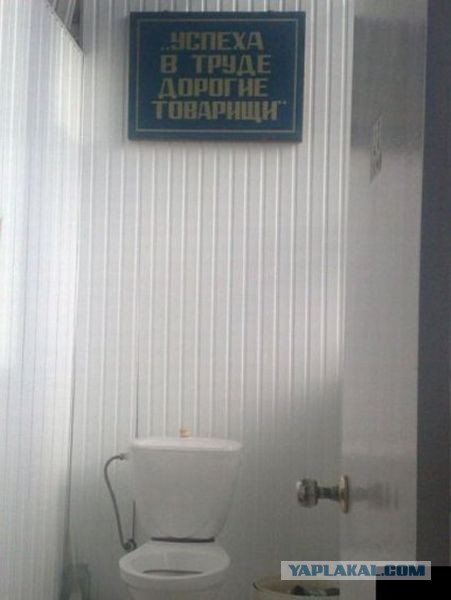 Весёлое из сети