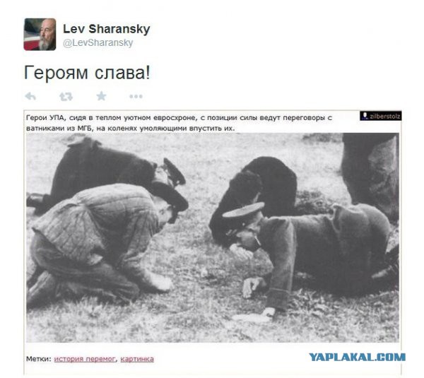 Главная новость дня