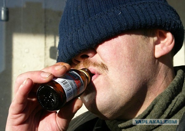 ЯП, С Днём Рождения !