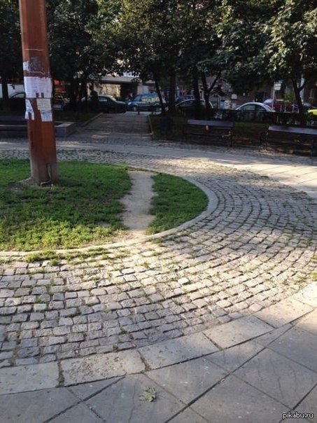 Картинки из сети