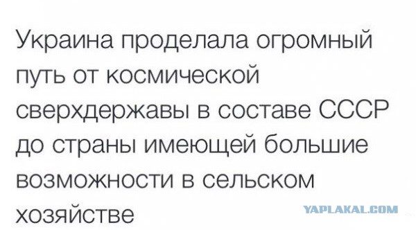 10 политических картинок часть 15