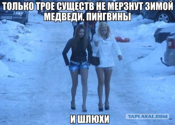 Картинки набрались разные