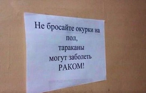 Прикольные картинки