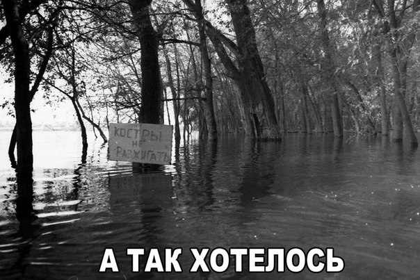 Позитив на воскресенье