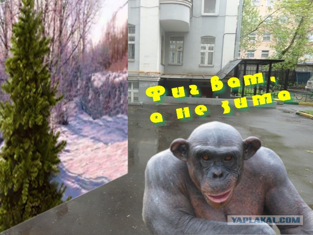 Фотожаберы! Нарядим елочку!