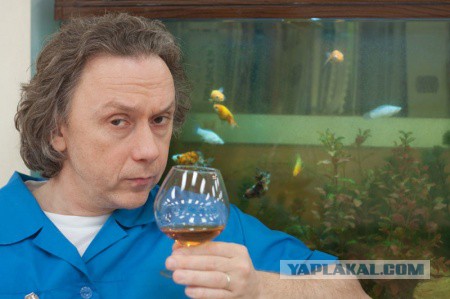 Загадка: какой бокал официально используется для коньяка?