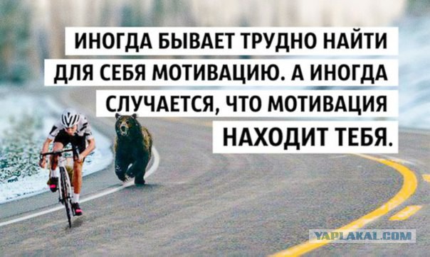 Подборка картинок