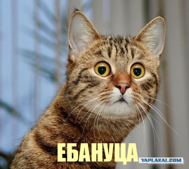 Фрики из соцсетей