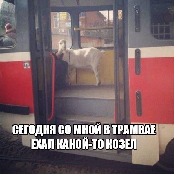 Ассорти картинок из сети