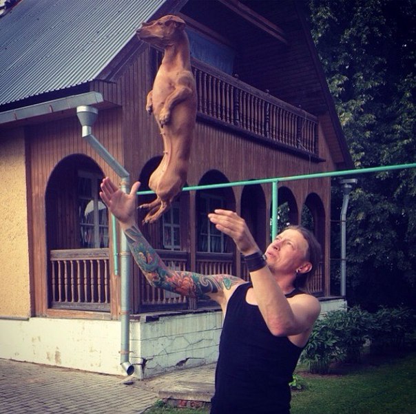 Такса  это навсегда