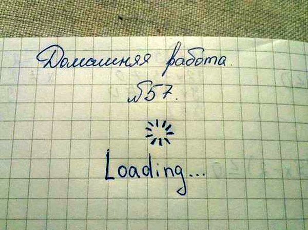 Несколько фоток