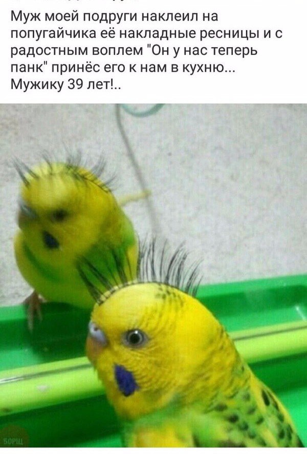 38 картинок